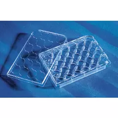 Assay Microplates, Multiple well (1)