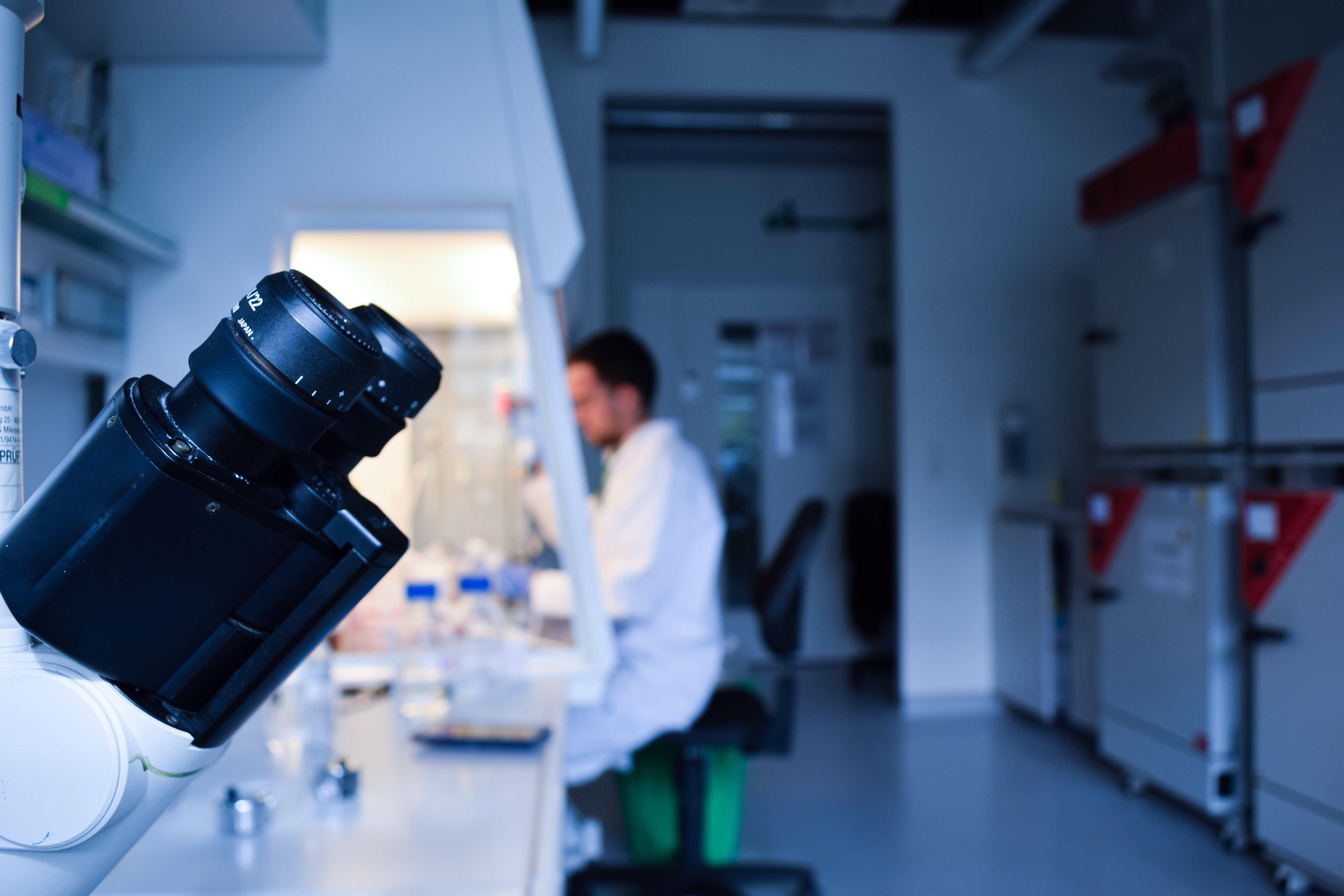 PhD scientist working in the laboratory under the bench preparing animal cells with a pipette